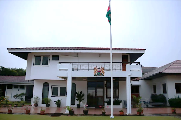Beautiful Flamingos in Kenya